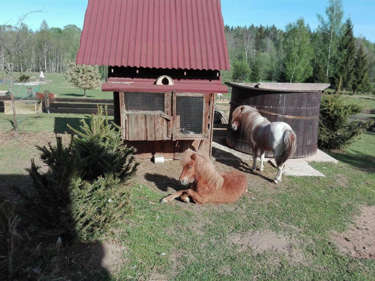 Skaistkrasti Villa Tinuzi Esterno foto