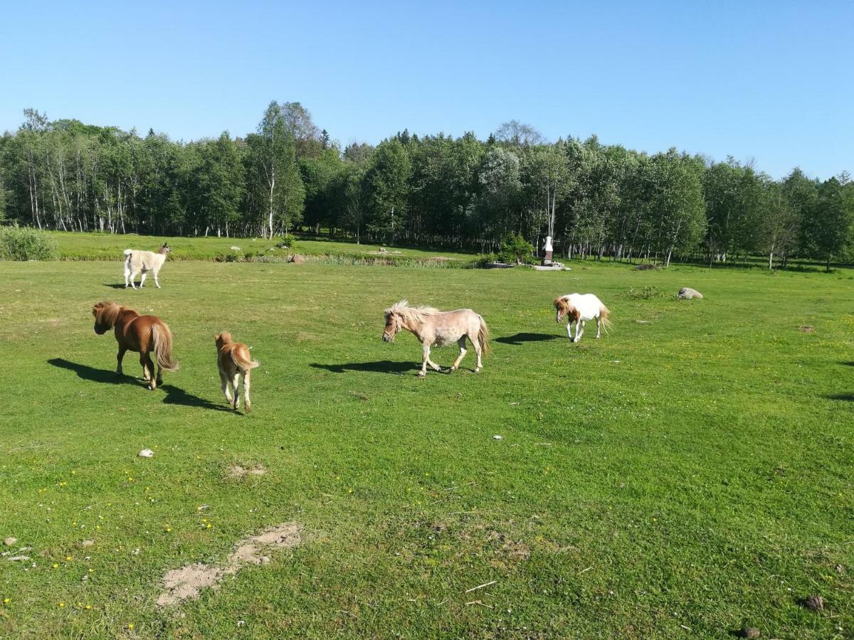 Skaistkrasti Villa Tinuzi Esterno foto