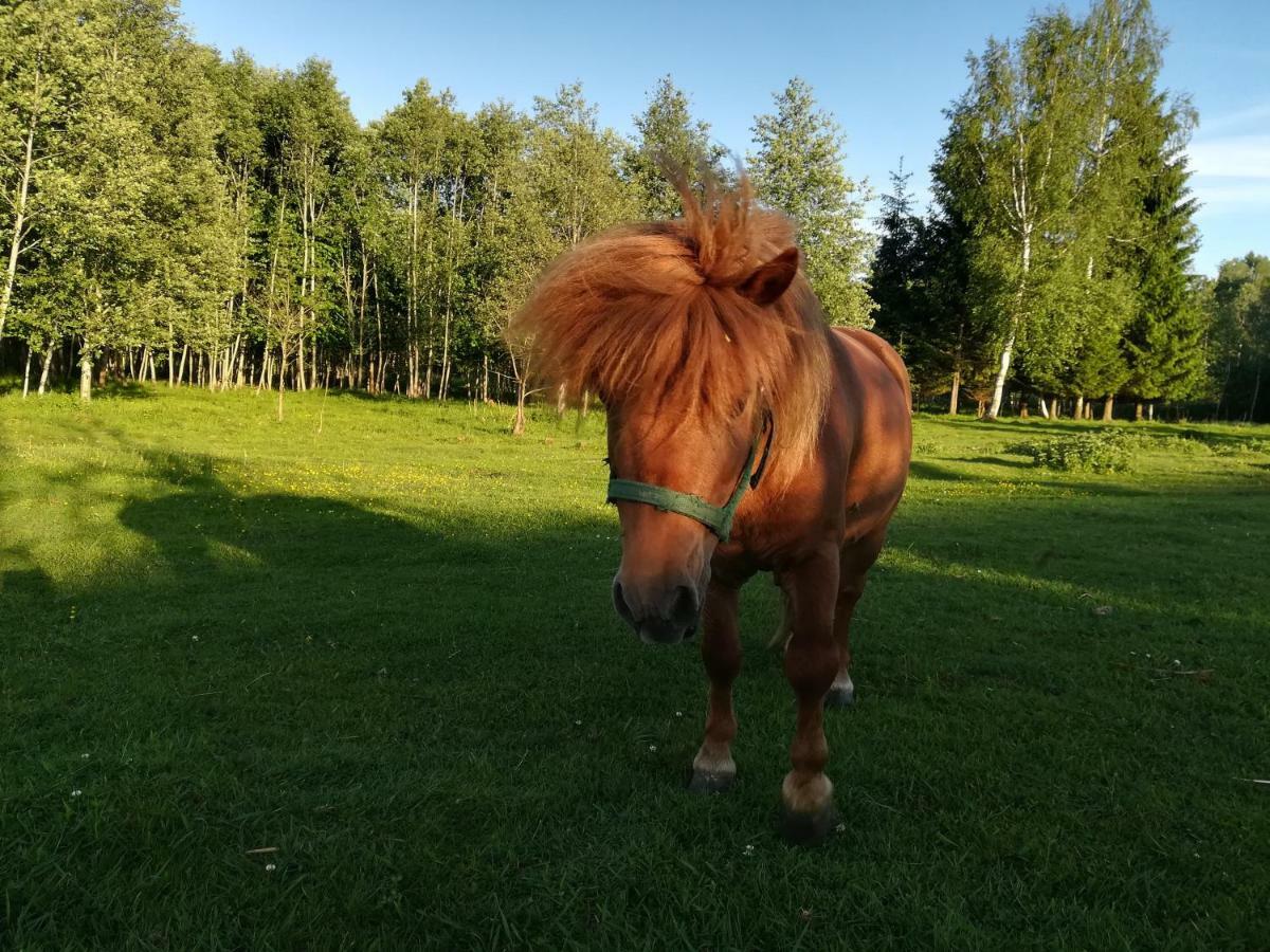 Skaistkrasti Villa Tinuzi Esterno foto