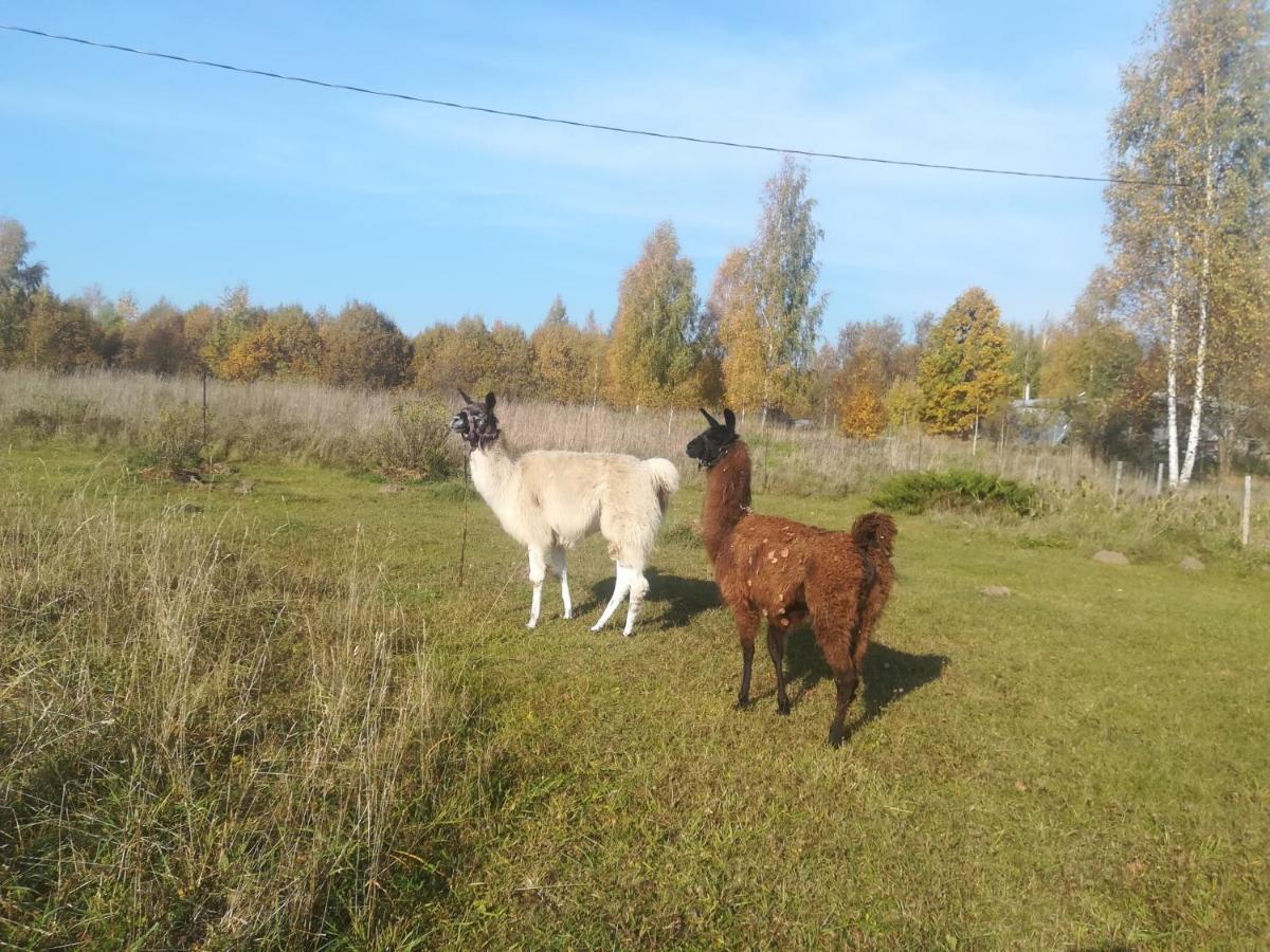 Skaistkrasti Villa Tinuzi Esterno foto