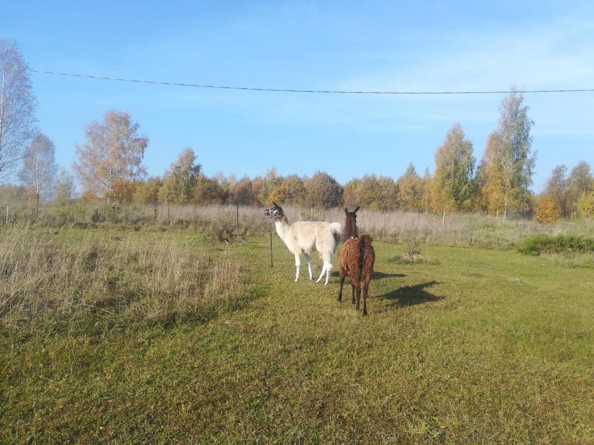 Skaistkrasti Villa Tinuzi Esterno foto